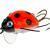 Wob-Art Lures Biedronka (Ladybird)