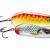 Rapala Nauvo