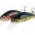 Microbait Hard lures Bumblebee