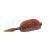 BaitNow Pellety Method Feeder Ready to Go