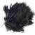 Hareline Dubbin Wooly Bugger Marabou