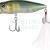 Megabass PopMax
