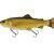 Savage Gear 3D Line Thru Pulsetail Trout