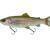 Savage Gear 3D Line Thru Pulsetail Trout