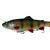 Savage Gear 4D Line Thru Rattle Trout