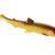 Westin Soft Baits BullTeez Shadtail TPF