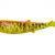 Savage Gear Soft Baits Cannibal PaddleTail Bulk