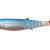 Savage Gear Cannibal Shad