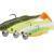 Savage Gear Fat Minnow T-Tail RTF