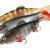 FOX Rage Soft baits Giant Replicant
