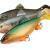 FOX Rage Soft baits Giant Replicant