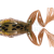 LiveTarget Przynęty miękkie Freestyle Frog 2.0