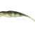 Qubi Lures Syrena Vert 25cm