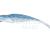 Qubi Lures Syrena Vert 25cm