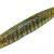Strike King Soft baits Ned Ocho