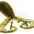 Westin Soft Baits RingCraw CurlTail