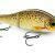 Rapala Super Shadow Rap Glide lure