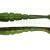 X Zone Lures Swammer 2.75"