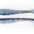 X Zone Lures Swammer 2.75"