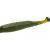 Zoom Bait Company Swimmin Super Fluke soft baits