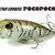 DUO Lures Tetra Works PocoPoco F