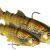 Westin Przynęty Tommy the Trout Multi Jointed R2F
