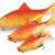 FOX Rage Przynęty Ultra Realistic Replicant Golden Roach