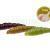 FishUp Soft baits Yochu Garlic Trout Series