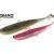 Molix Soft baits Ra shad Real Action Shad