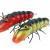 Microbait Hard lures River Crayfish