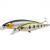 Pontoon21 Hard Lures Saunda