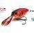 Molix Lures Sculpo DR Rattlin