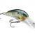 Rapala Woblery Shad Dancer