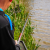 Preston Dura Carp 800 8m Pole