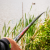Preston Dura Carp 800 8m Pole