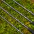 Preston Wędki Supera X Distance Feeder