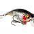 Westin Woblery BuzzBite SR Crankbait