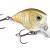 Rapala Crankbaits BX Brat