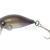 Tiemco Hard Lures Cure Pop Crank