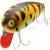 Tiemco Hard Lures Daikichi Crank Bait Minamotogoro