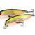 Pontoon21 Hard Lures Dexter Minnow