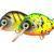 HMG Lures Hard Lures Droop Killer Float