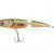 Dorado Woblery Esox Jointed