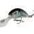 Salmo Woblery Hornet 6 cm