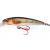 SPRO Hard Lures IKIRU Micro Jerk 50F