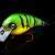 SPRO Hard Lures IKIRU Tri-Crank 65F