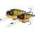 Westin Woblery MegaBite DR Crankbait