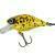 Lucky John Woblery Original Chubby DRF