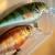 Salmo Rattlin’ Executor SDR