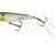 Westin Spot-On Popper